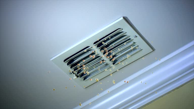Best Air Duct Cleaning Near Me  in Bourg, LA