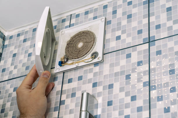 Best Local Air Duct Cleaning Services  in Bourg, LA