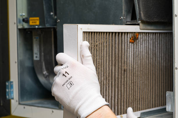 Best Affordable Duct Cleaning Services  in Bourg, LA
