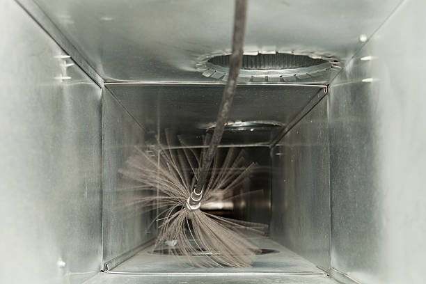 Best Dryer Vent Cleaning Services  in Bourg, LA