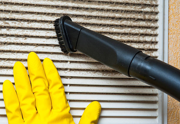 Best Duct Cleaning for Homes  in Bourg, LA